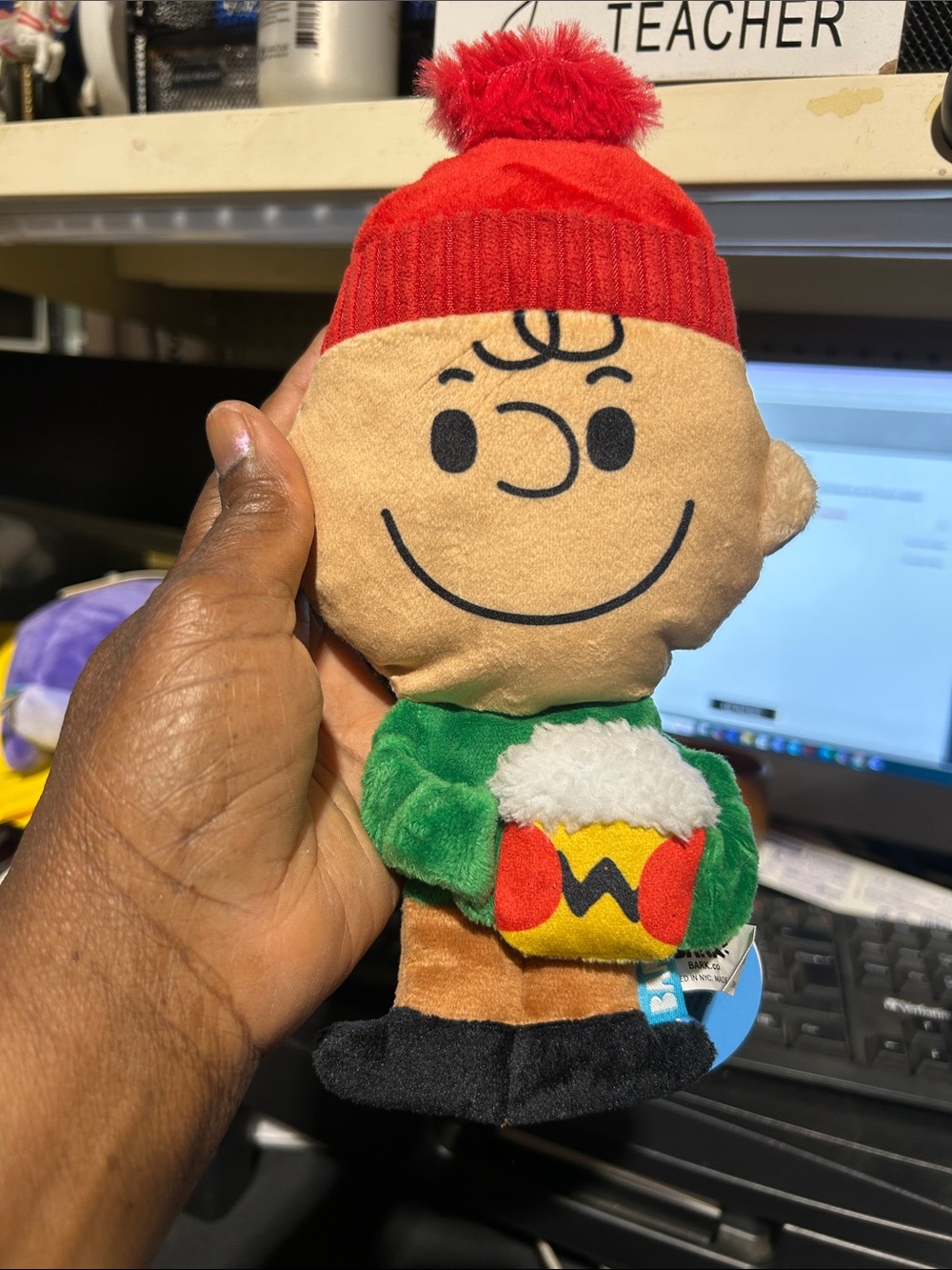 Peanuts Charlie Brown Plush with Red Hat and Green Coat
